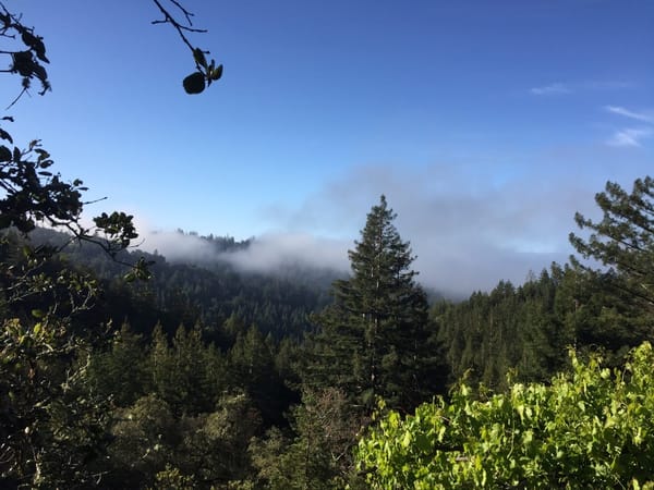 How to road trip through California!: photo 2
