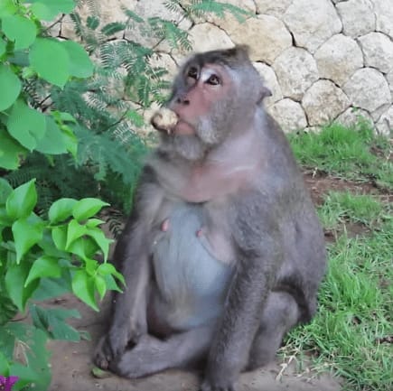 Top Activities for a Short Stay in Bali: photo 5