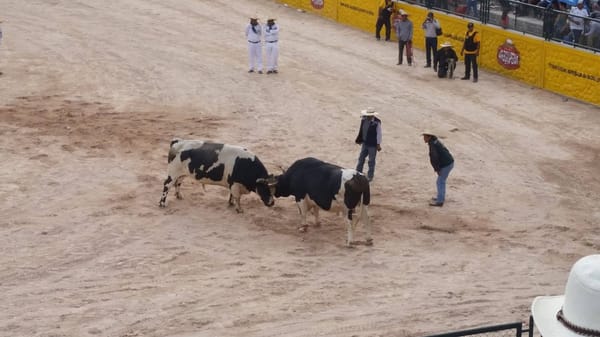 Arequipa Top 6 Things to Do in the White City of Peru: photo 7