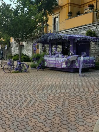 Lake Como and Greenway: photo 11