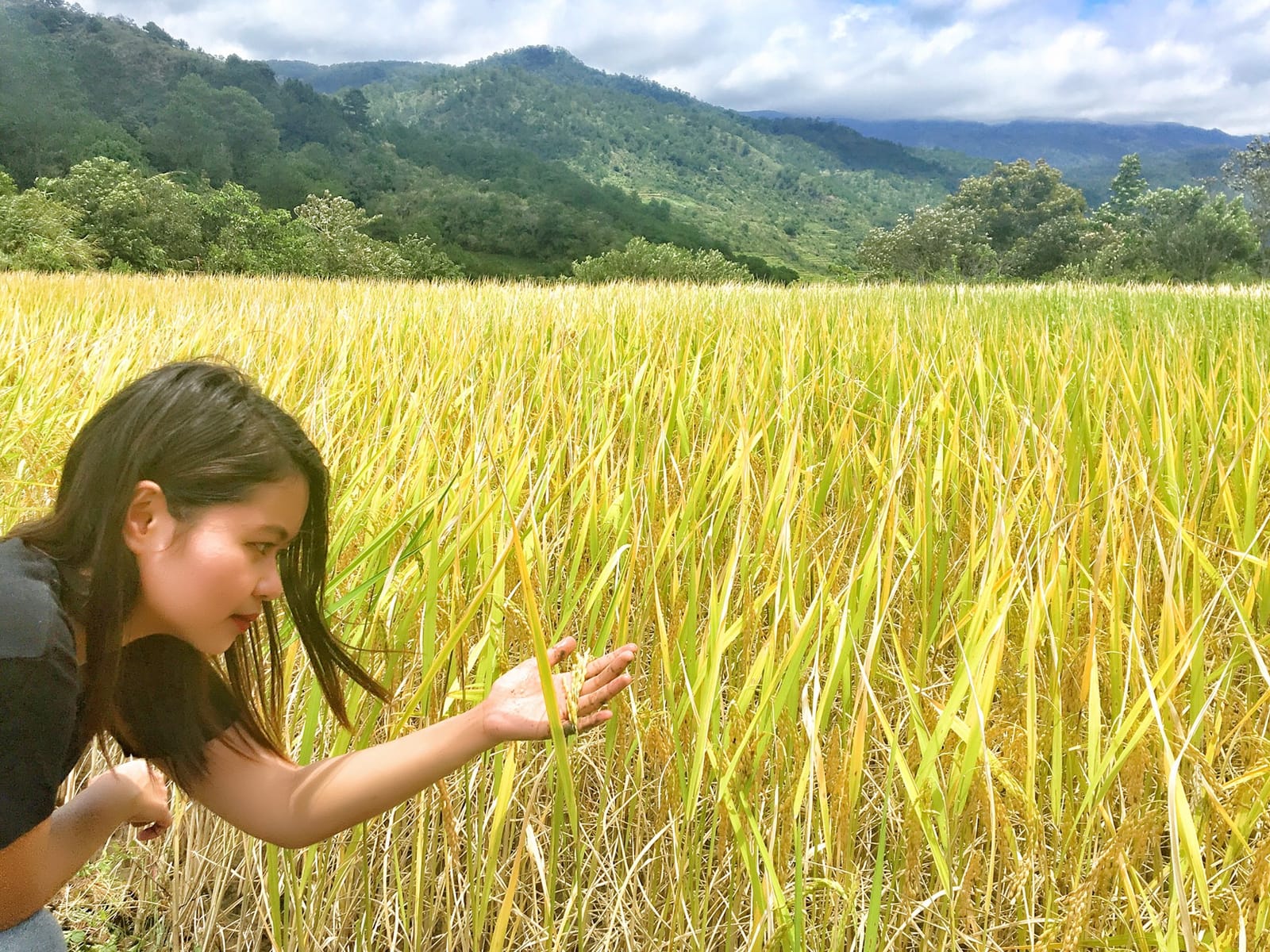 What Lies Behind the Mountains of Mountain Province, Philippines