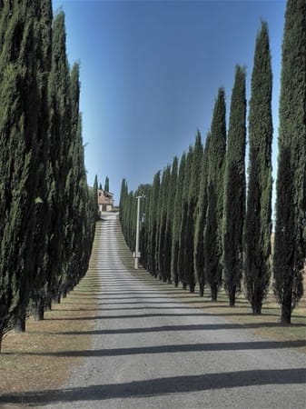 Around Monte Amiata: A touch of rural Tuscany: photo 3