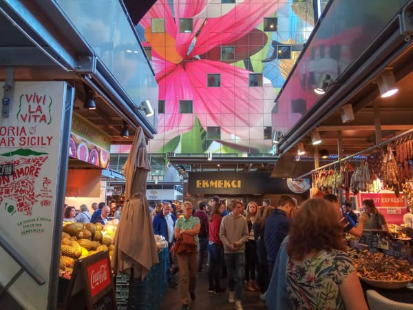 Top 5 cities to visit in the Netherlands: photo 5