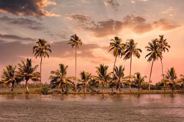 Come Lets Experience Kumarakom Backwater Destination: photo 1