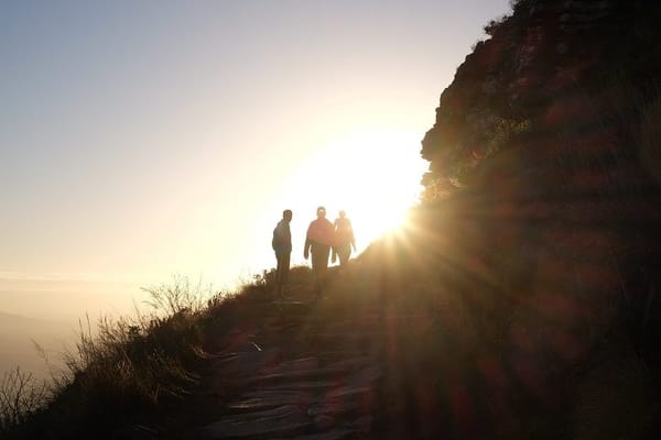 The 10 things in Cape Town you have to experience: photo 2