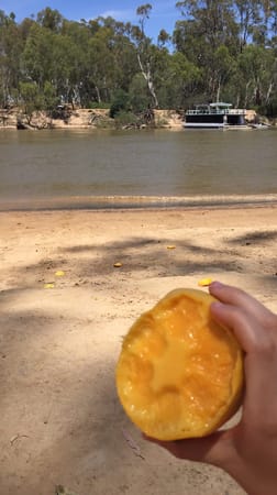 Echuca/Moama: A local's guide: photo 1