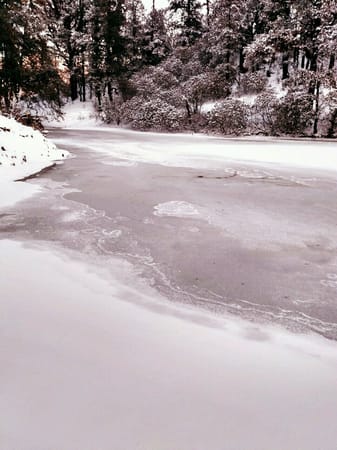 Dayara Bugyal: A winter trek in India: photo 3