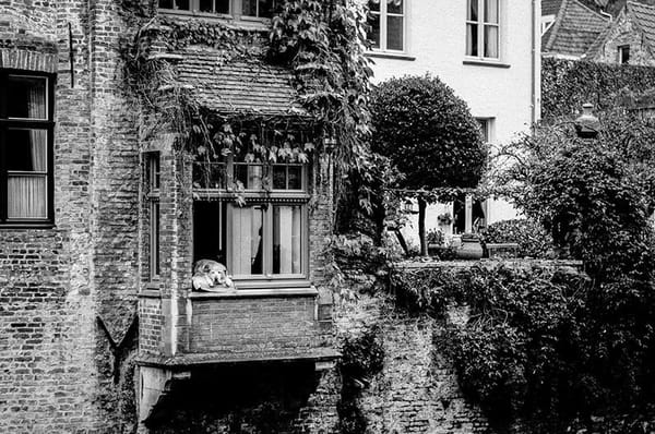 Bruges - medieval beauty for sweet tooths: photo 5