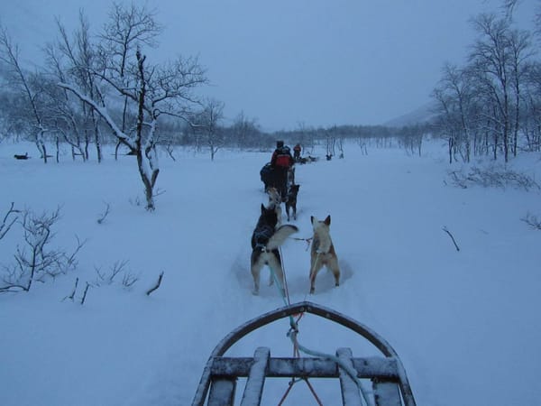 Winter wonderland in Norway: photo 1
