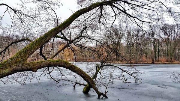 Berlin’s Best Spots for Photo Ops: photo 2