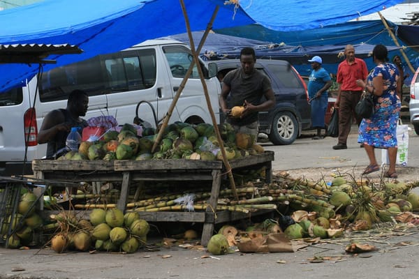 How to See Jamaica In A Low Budget: photo 1