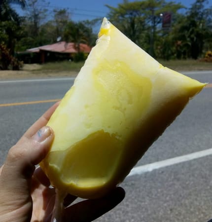 The Best Things About Traveling in Costa Rica: photo 2