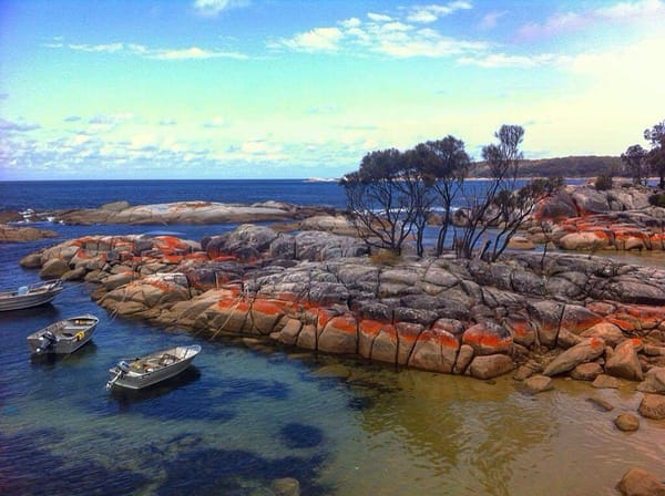 One blissful week in Tasmania: photo 3