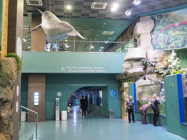 The Center of Oceanography and Marine Biology "Moskvarium": photo 5