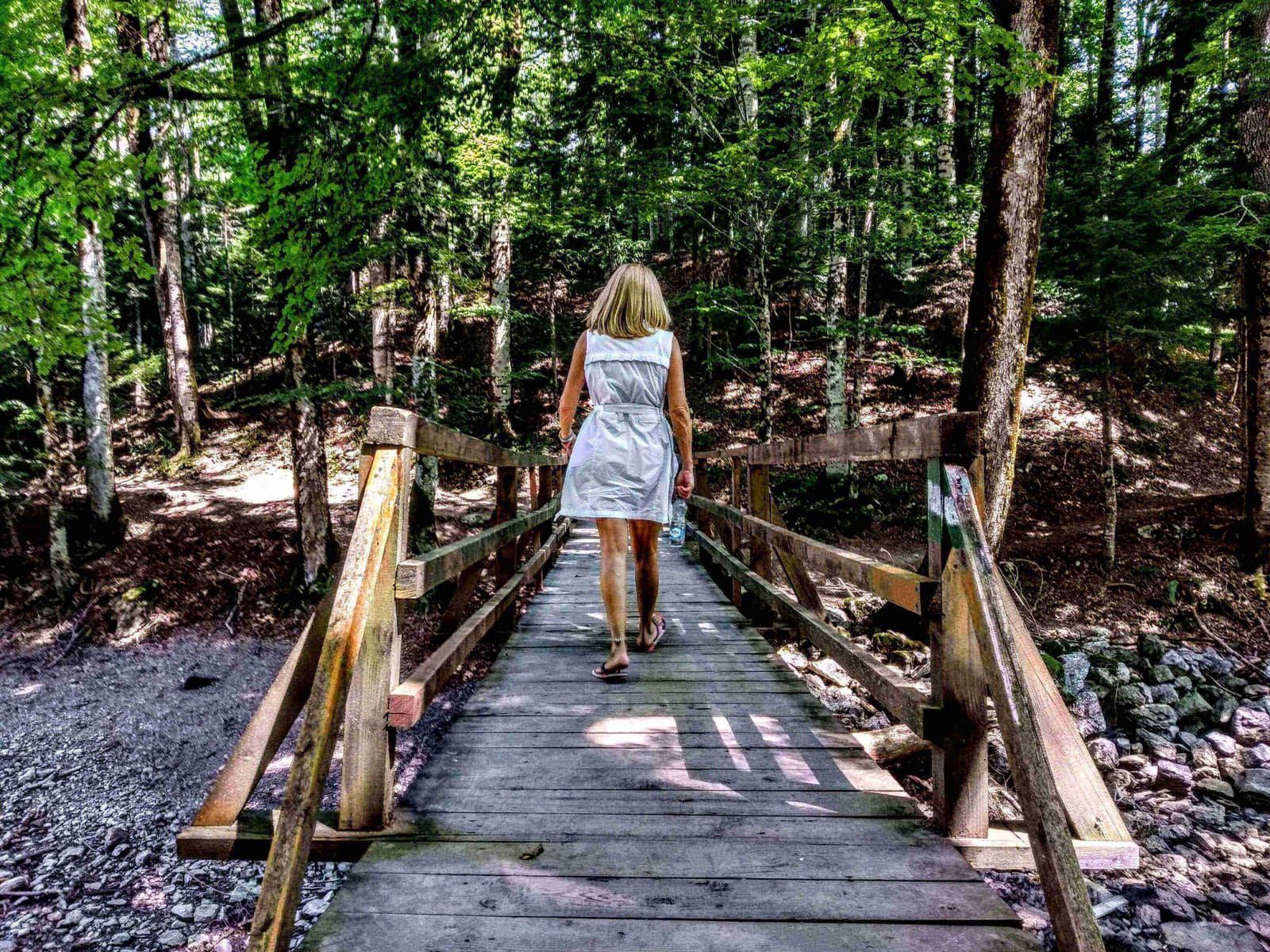 Travel Guide to Biogradska Gora National Park