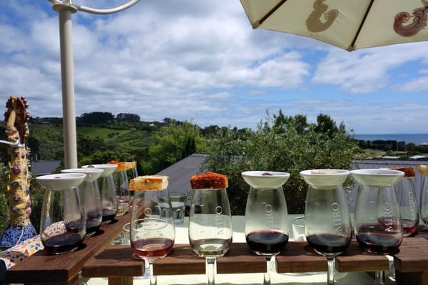 8 Not To Miss Wineries of New Zealand: photo 4