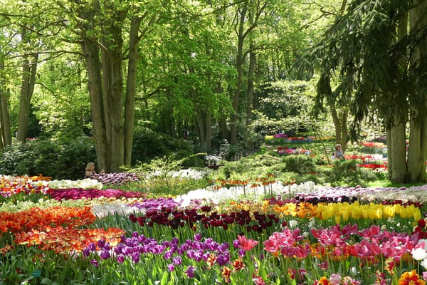 Leiden: The Netherlands little known treasure: photo 13