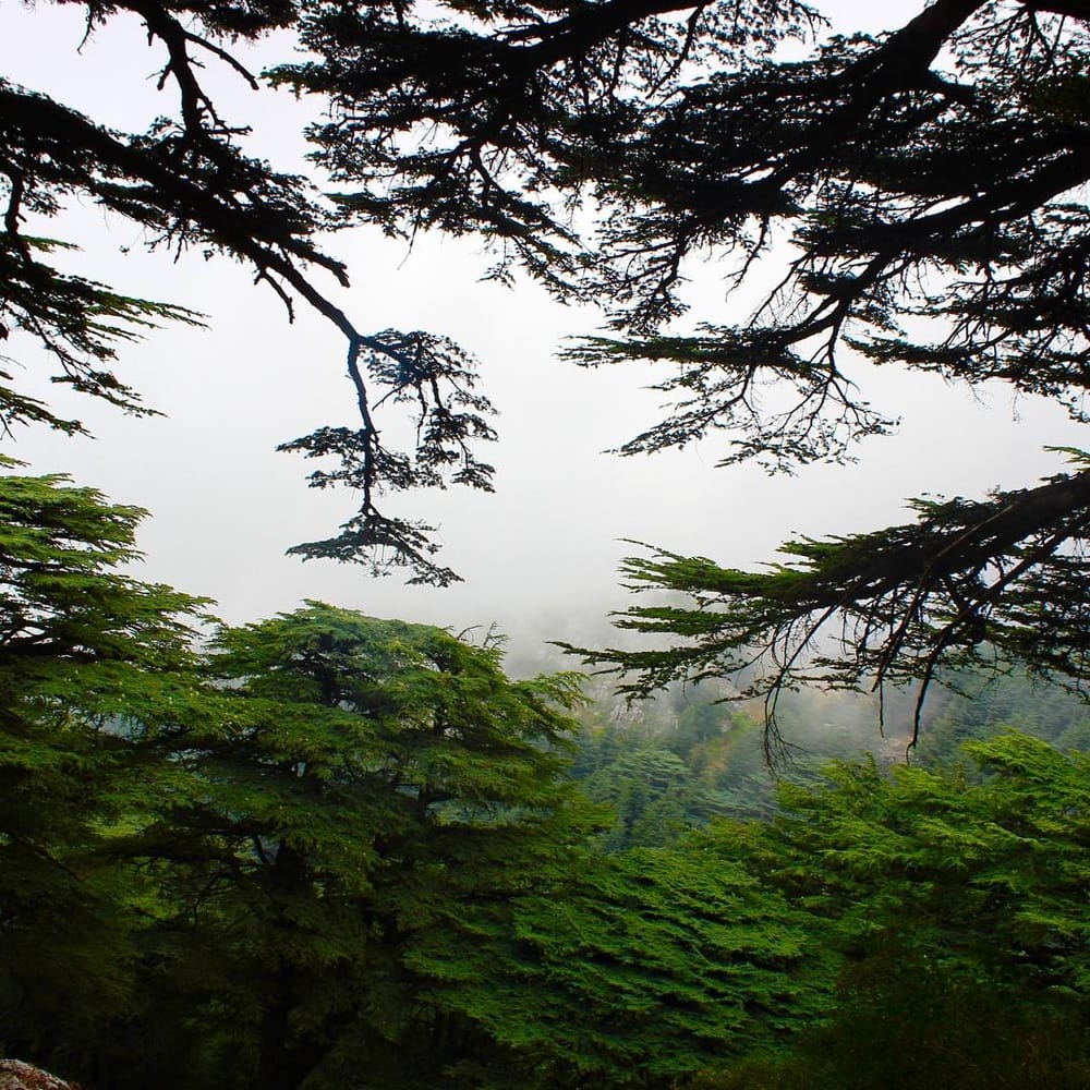 Your guide for a magical week in Beirut
