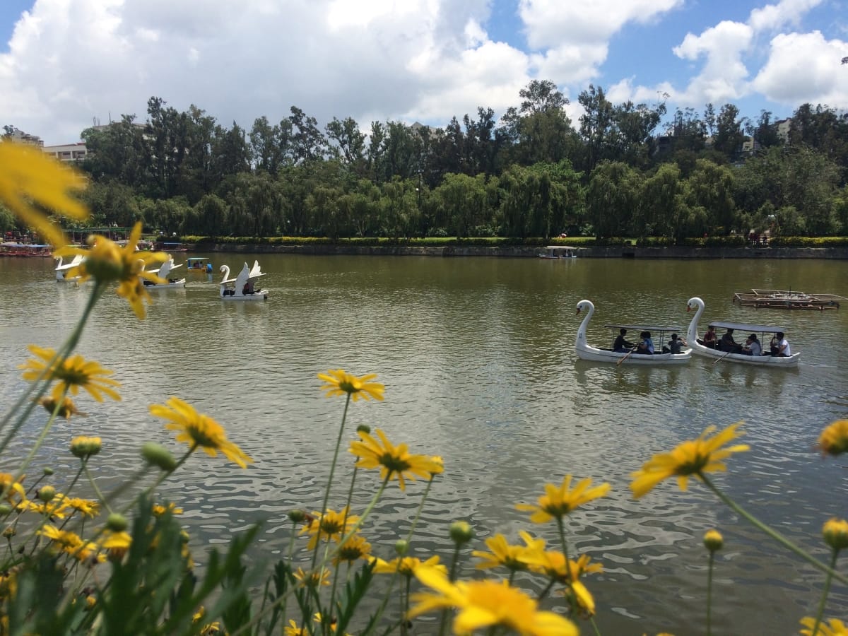 Baguio City: From the Eyes of a Local