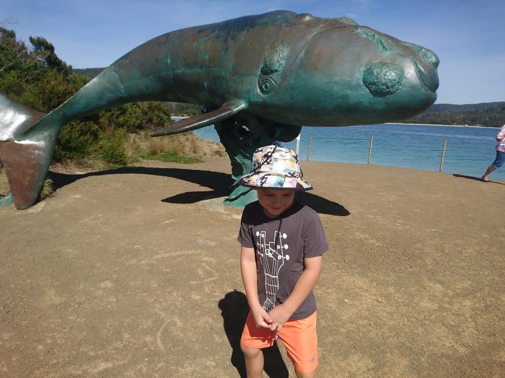 Cockle Creek: The end of the road adventure with kids