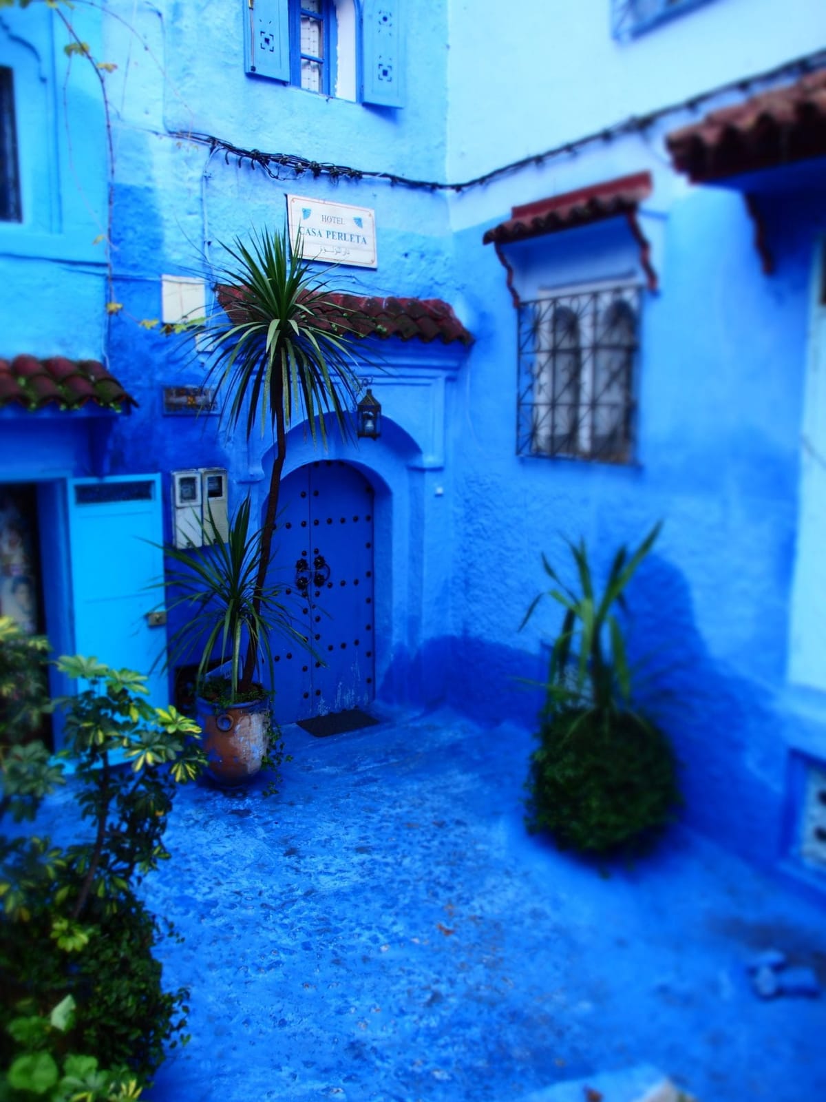Chefchaouen - The Blue Pearl of Morocco