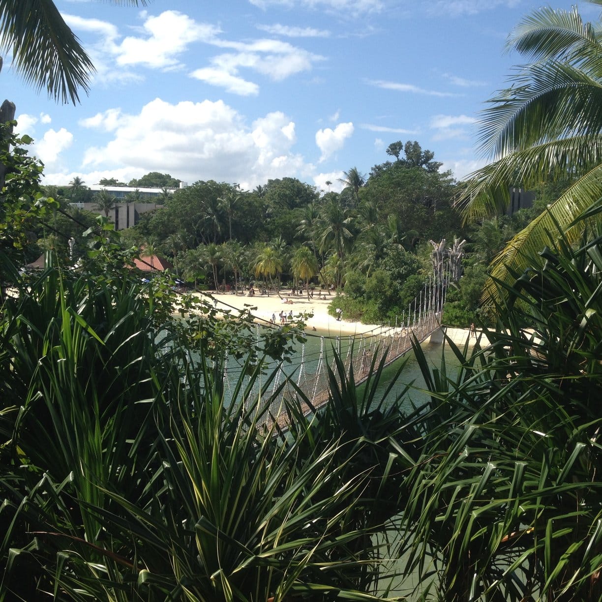 Singapore on a budget