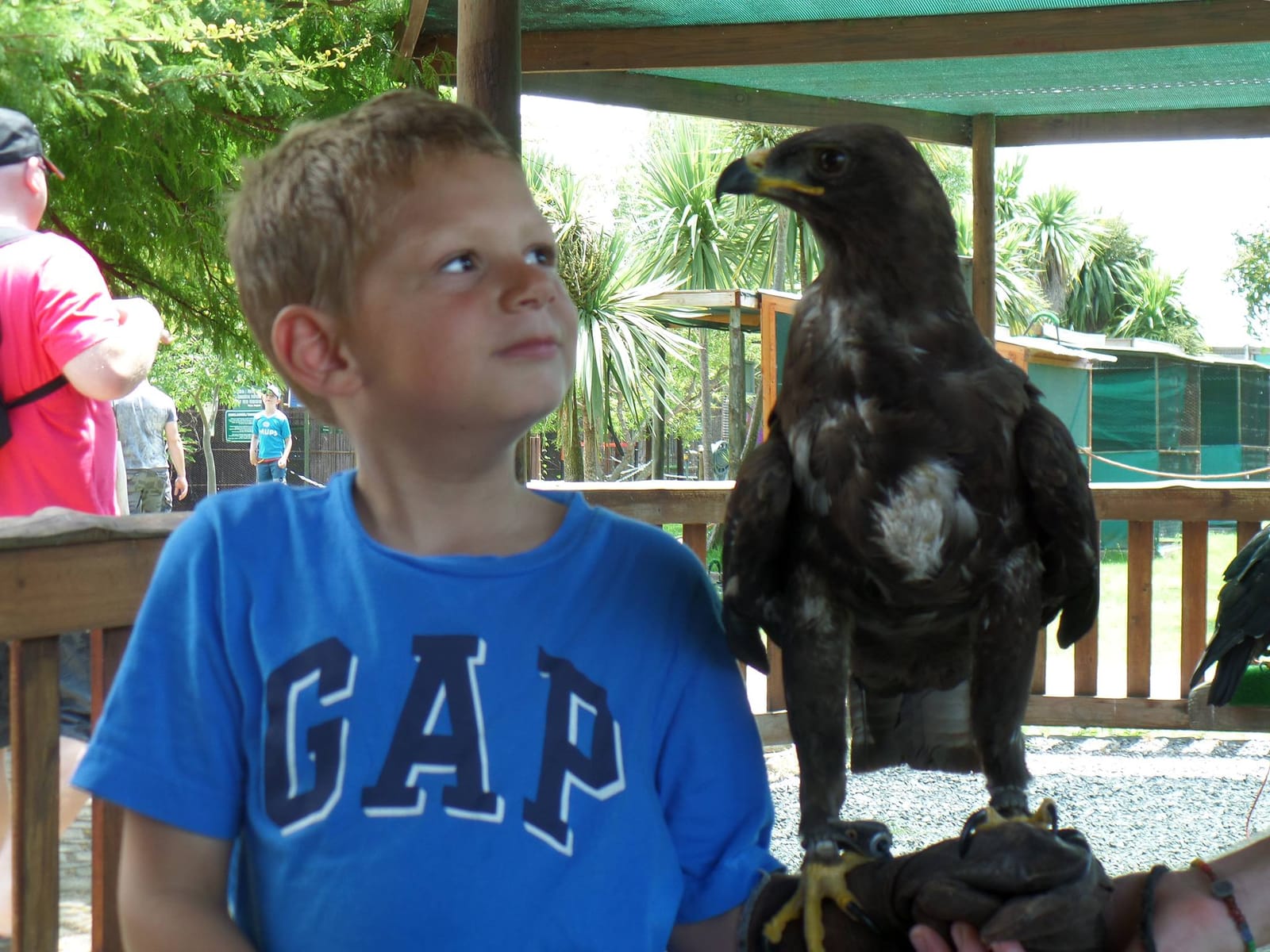 Experience Family Fun  Along the Stellenbosch Wine Route