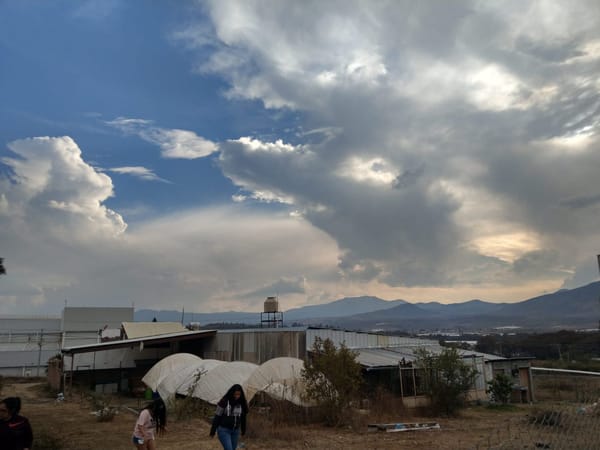 Michoacan, Mexico: is it safe to visit?: photo 5