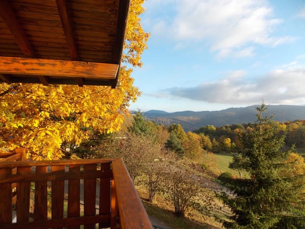 A visual journey of the French countryside: Valley of Munster: photo 5