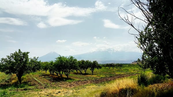 Hollow roads and ancient temples – visiting Armenia: photo 4