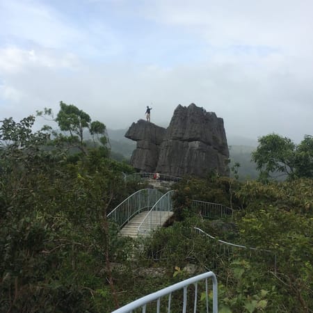 A Thrilling Treetop Adventure in Masungi Georeserve: photo 22