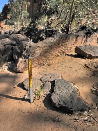 Flinders Ranges: Ancient earth and fascinating wildlife: photo 2
