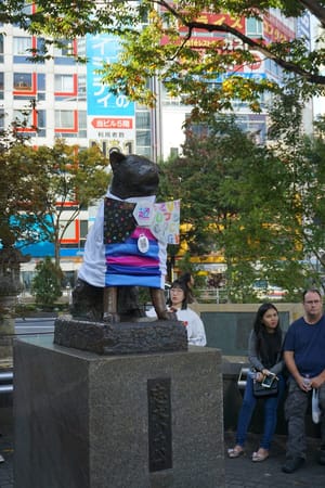 3 Days in Tokyo, Japan: A Travel Blog: photo 14