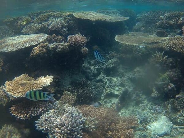 5 Reasons to Fall in Love with Indonesia: photo 4