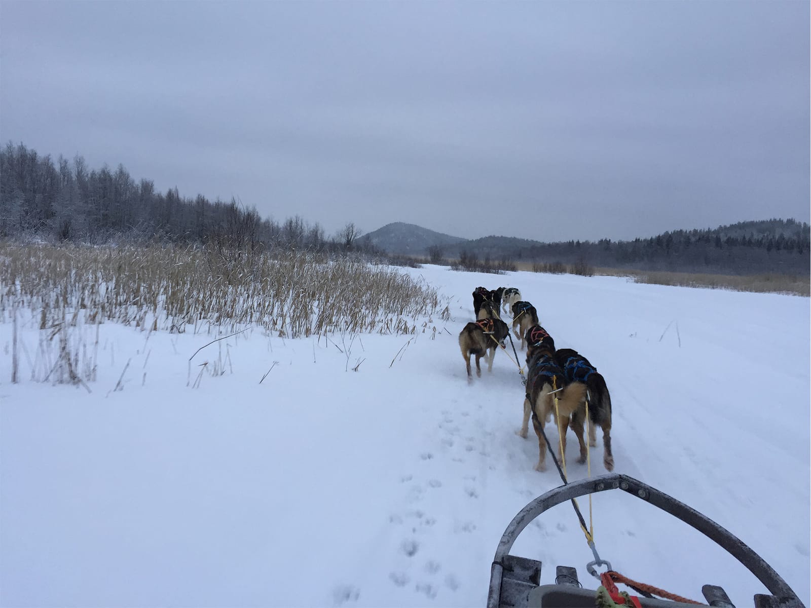 In minus 30 degrees celsius - My home town Boden - Sweden