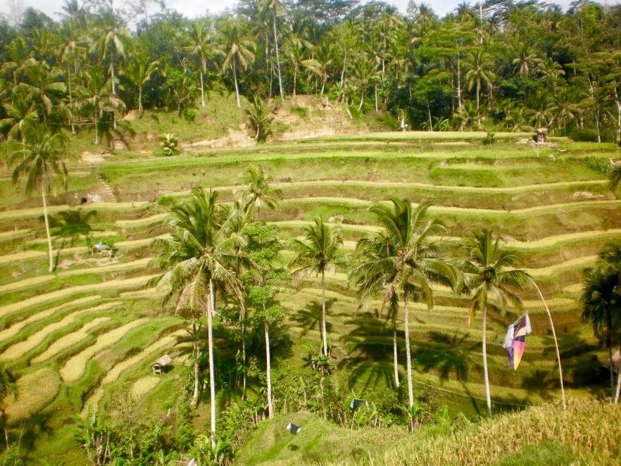 Bali: Guide to the Island of the Gods