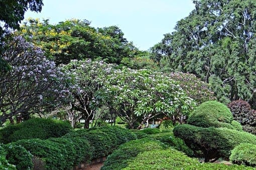 Bangalore Sightseeing - Top Places To See: photo 1