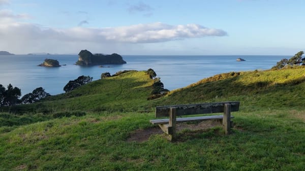 What you should not miss in New Zealand: photo 2
