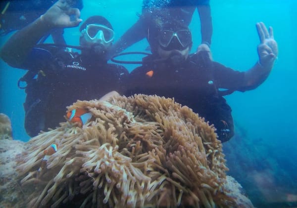 Heading to Andaman & Nicobar Islands: Get a Travel Agent: photo 4