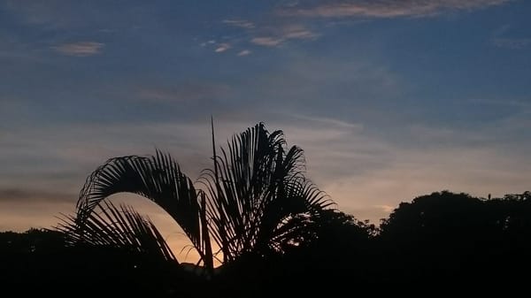 Things to do in San Jose, Costa Rica: photo 3