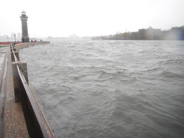 NYC : Roosevelt Island: photo 6