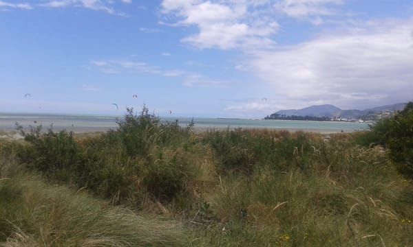 What To Do in Nelson City, New Zealand: photo 3