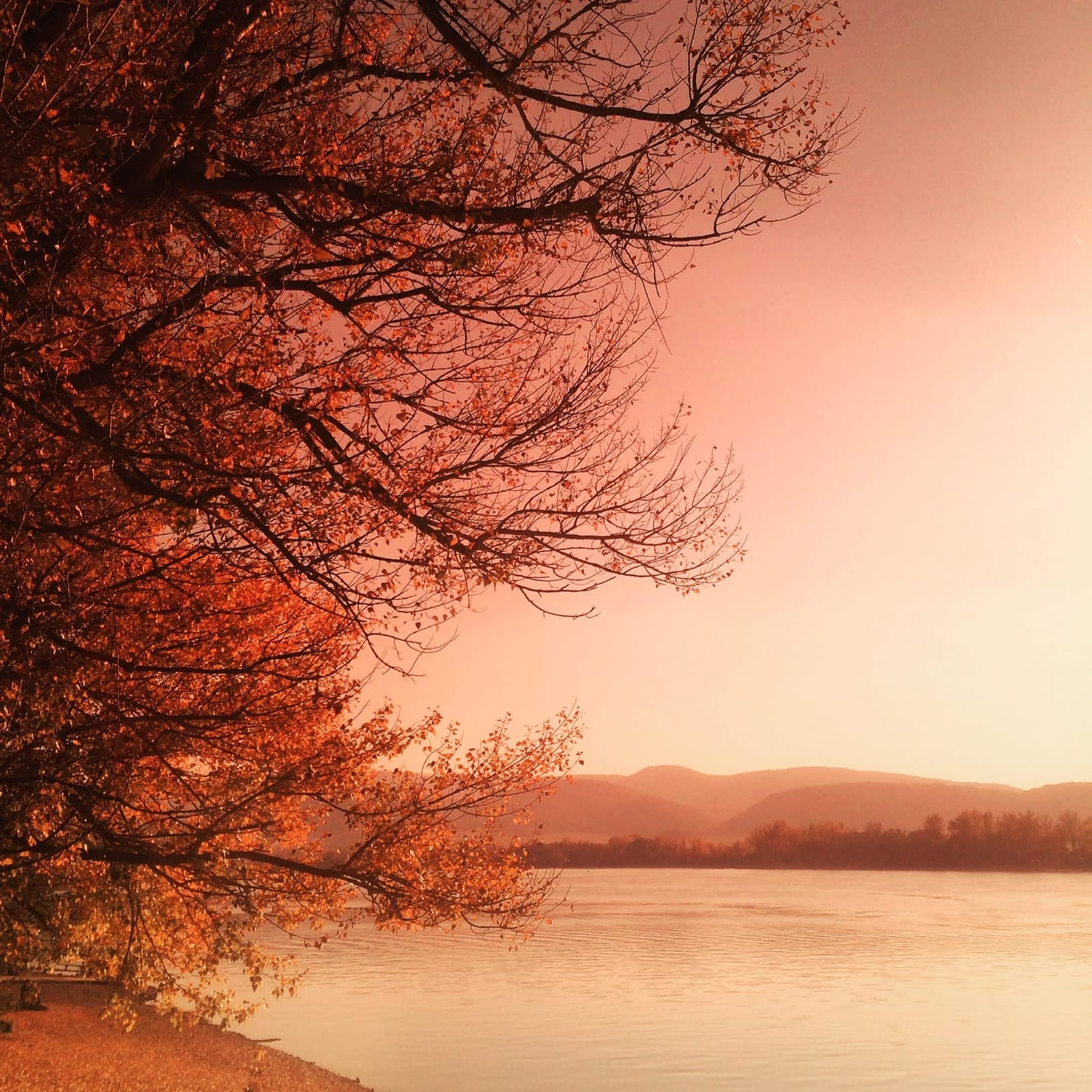 The Danube bend - Eastern Bank