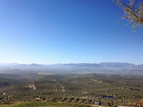Visit Jaén: Andalusia’s Hidden Gem: photo 2