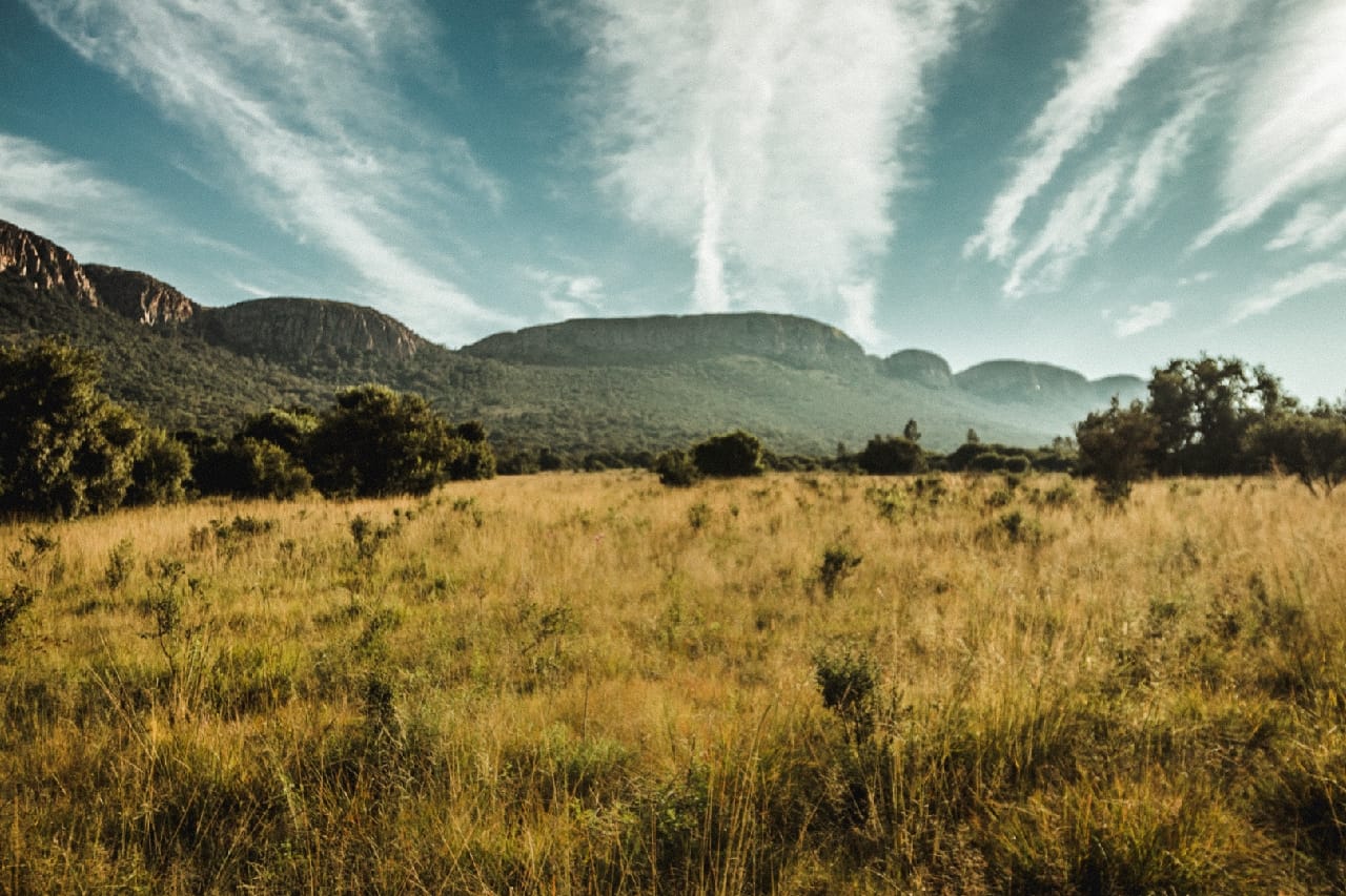 The Karee Trail - A Day Hike in the Magaliesburg, South Africa
