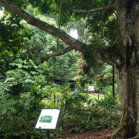 Singapore on a budget: photo 2