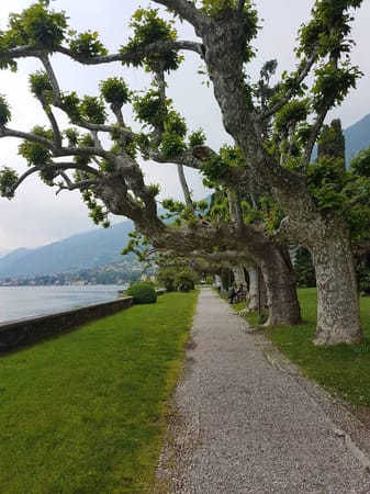 Lake Como and Greenway: photo 34