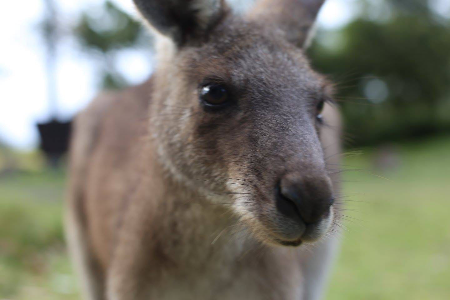 Caves Beach at Jervis Bay: A Weekend in the Great Outdoors