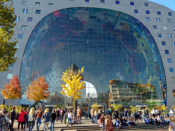 Top 5 cities to visit in the Netherlands: photo 4