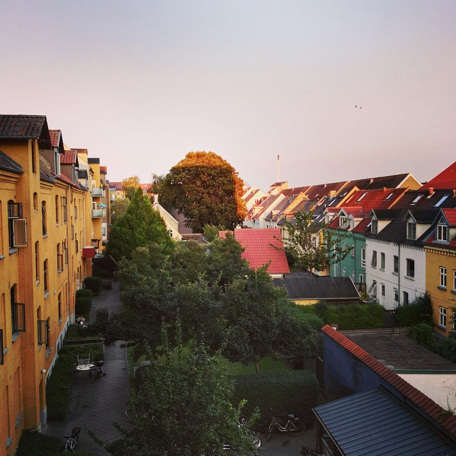 Hyggelig Denmark: Visit the Coziest Country in the Planet